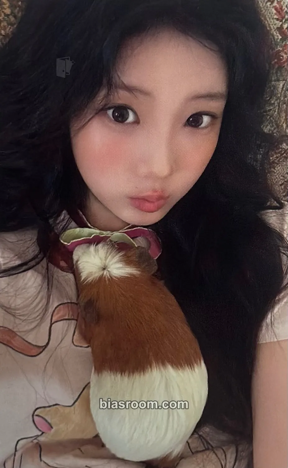 Wonhee MAMIHLAPINATAPAI Photocard - ILLIT - ILLIT K-pop photocard