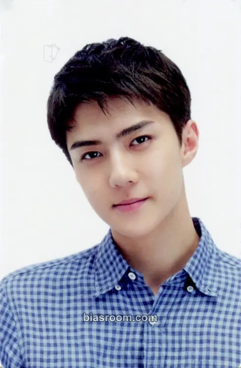 Sehun EXO Figure MD Photocard - EXO - EXO K-pop photocard
