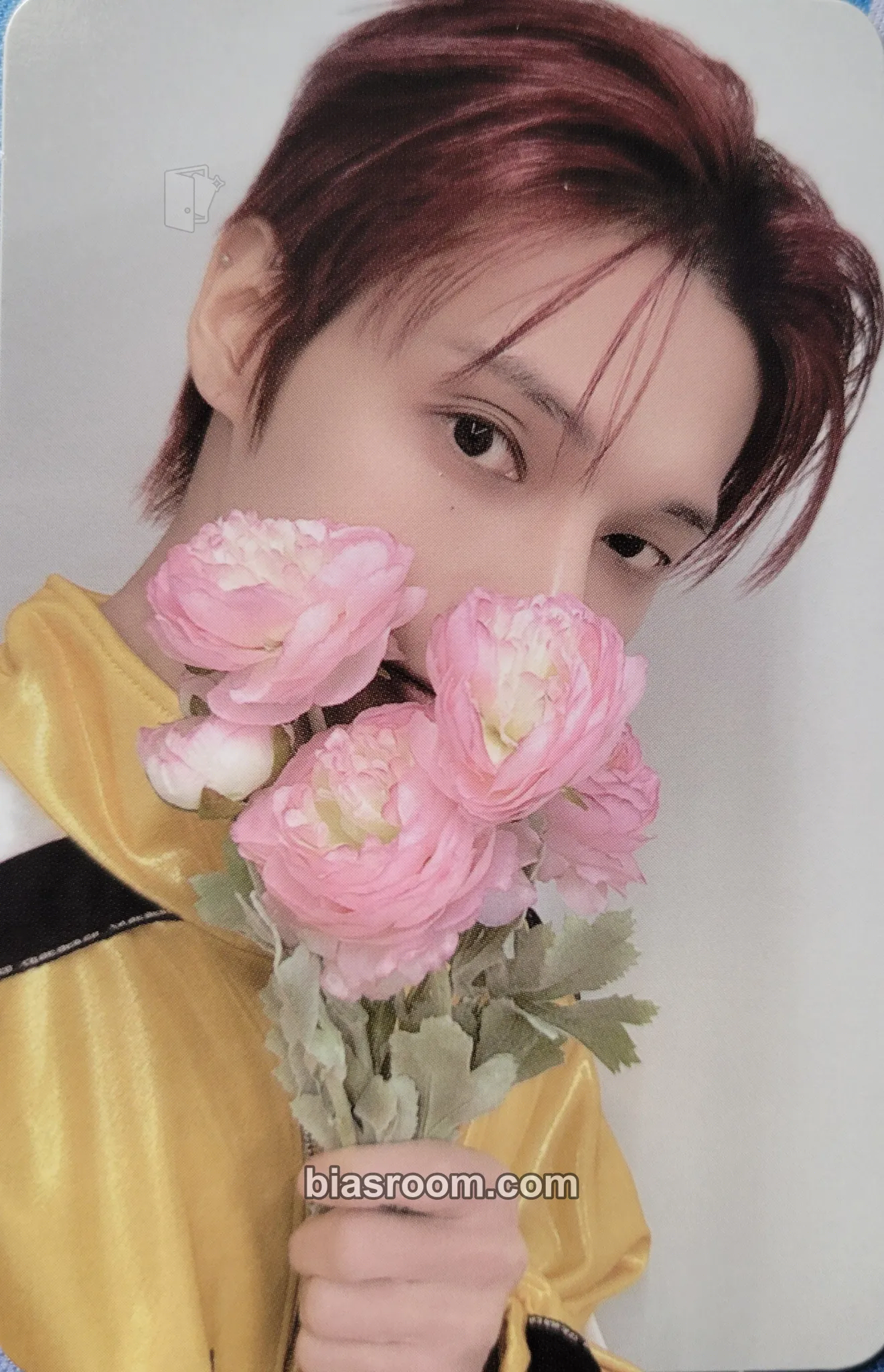 Wooyoung ANITEEZ IN COLOR Photocard - ATEEZ - ATEEZ K-pop photocard