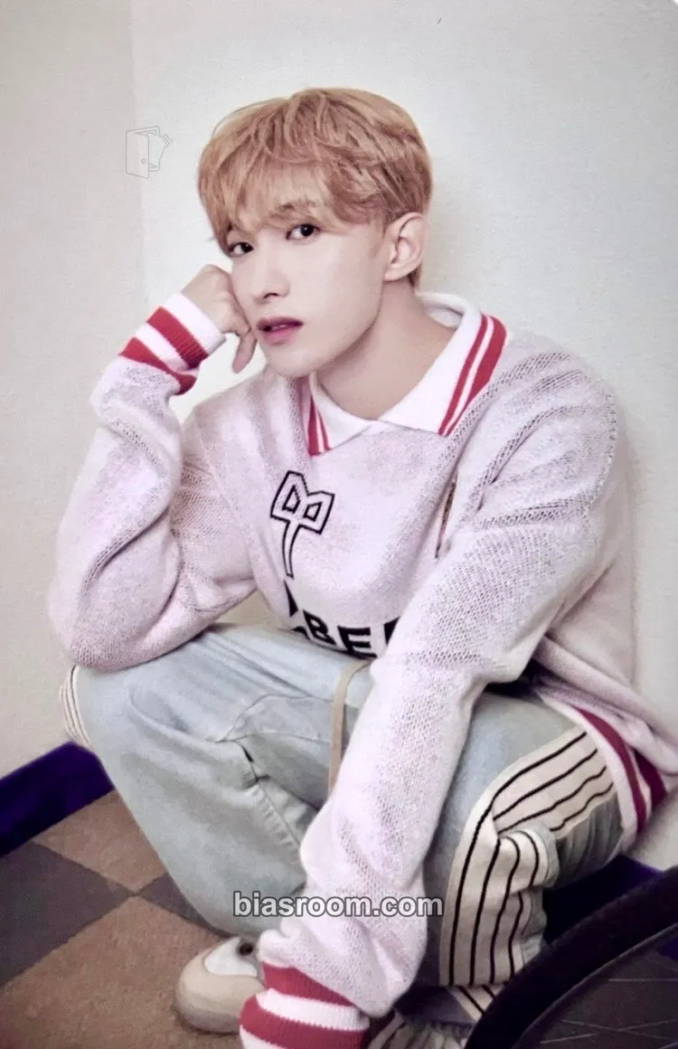 DK 2024 8TH SVT IN CARAT LAND Photocard - SEVENTEEN - SEVENTEEN K-pop photocard