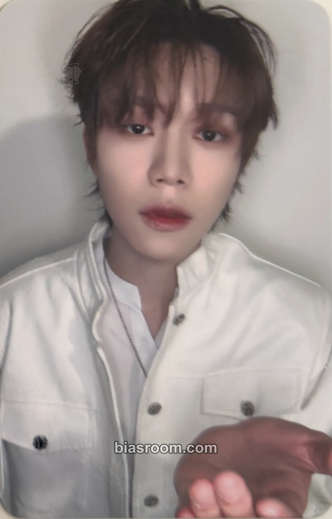 Shinnosuke 01 Photocard - V01D - V01D K-pop photocard