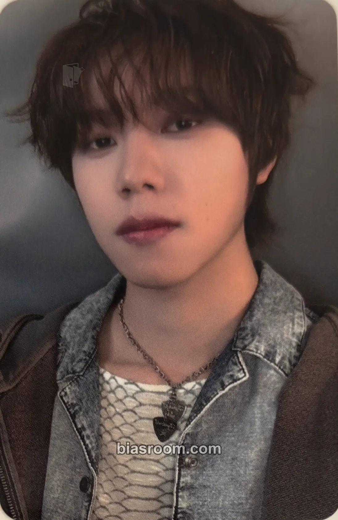 Shinnosuke 01 Photocard - V01D - V01D K-pop photocard