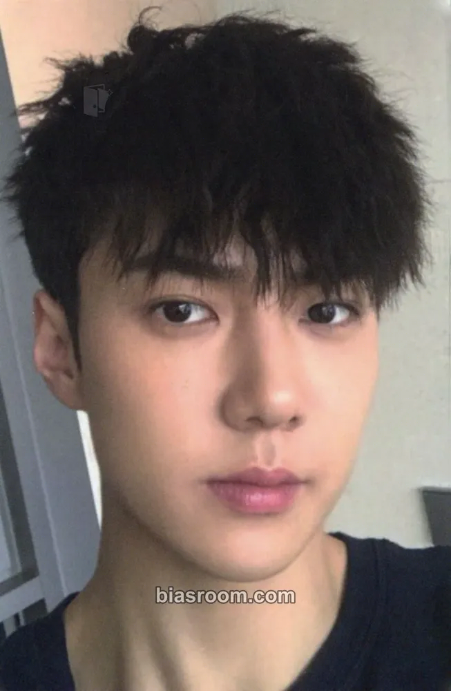 Sehun EXO QUADRUPLE MILLION SELLER MEDAL Photocard - EXO - EXO K-pop photocard