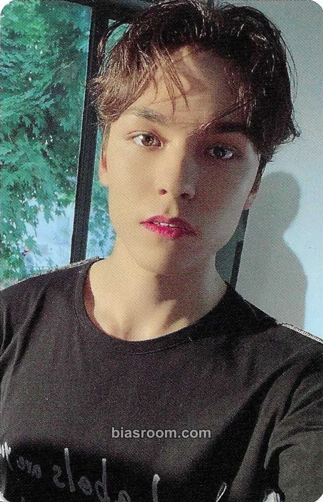 Vernon DICON Photocard 101: Custom Book Photocard - SEVENTEEN - SEVENTEEN K-pop photocard