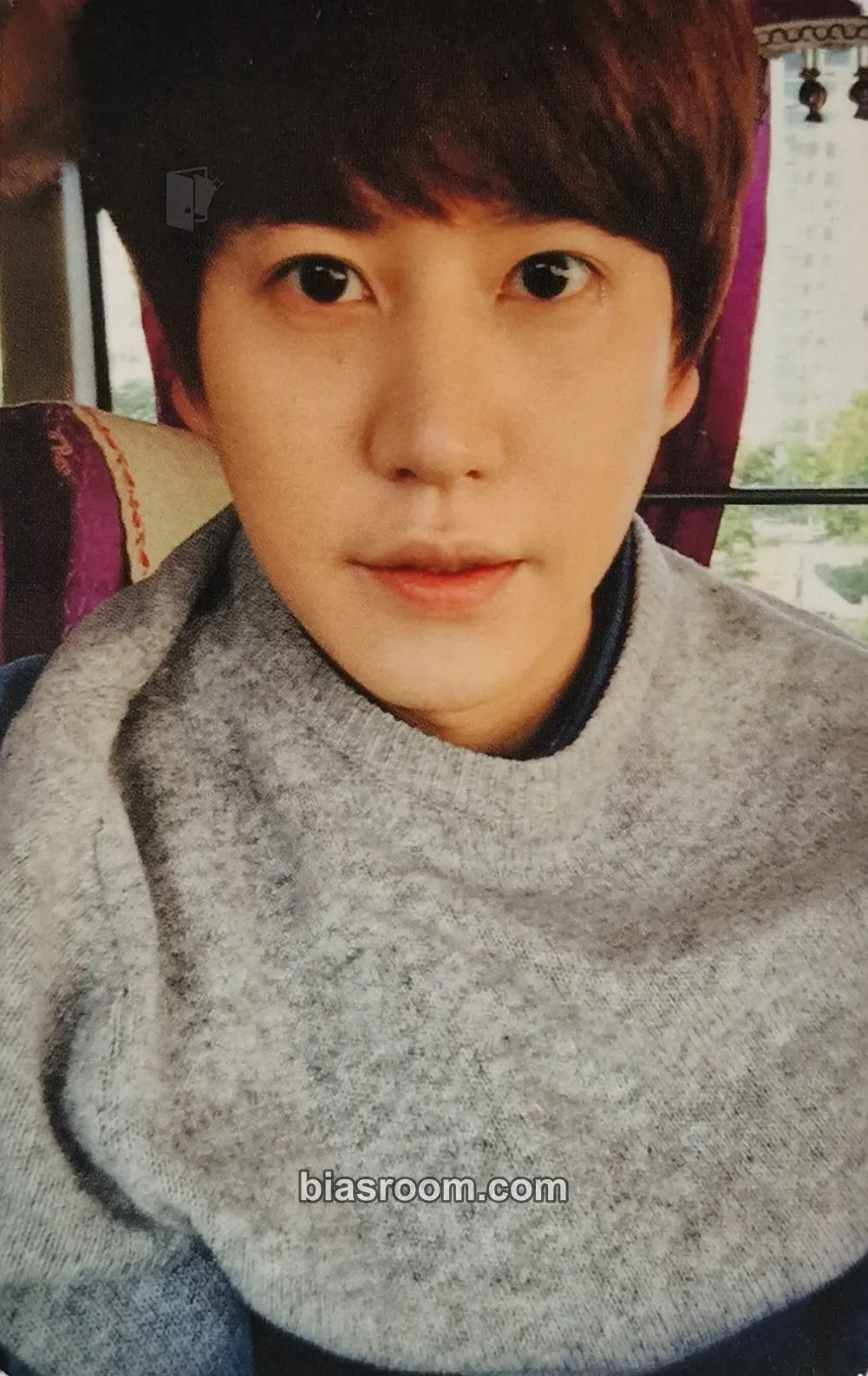 Kyuhyun Fall, Once Again (Kyuhyun Solo) Photocard - SUPER JUNIOR - SUPER JUNIOR K-pop photocard