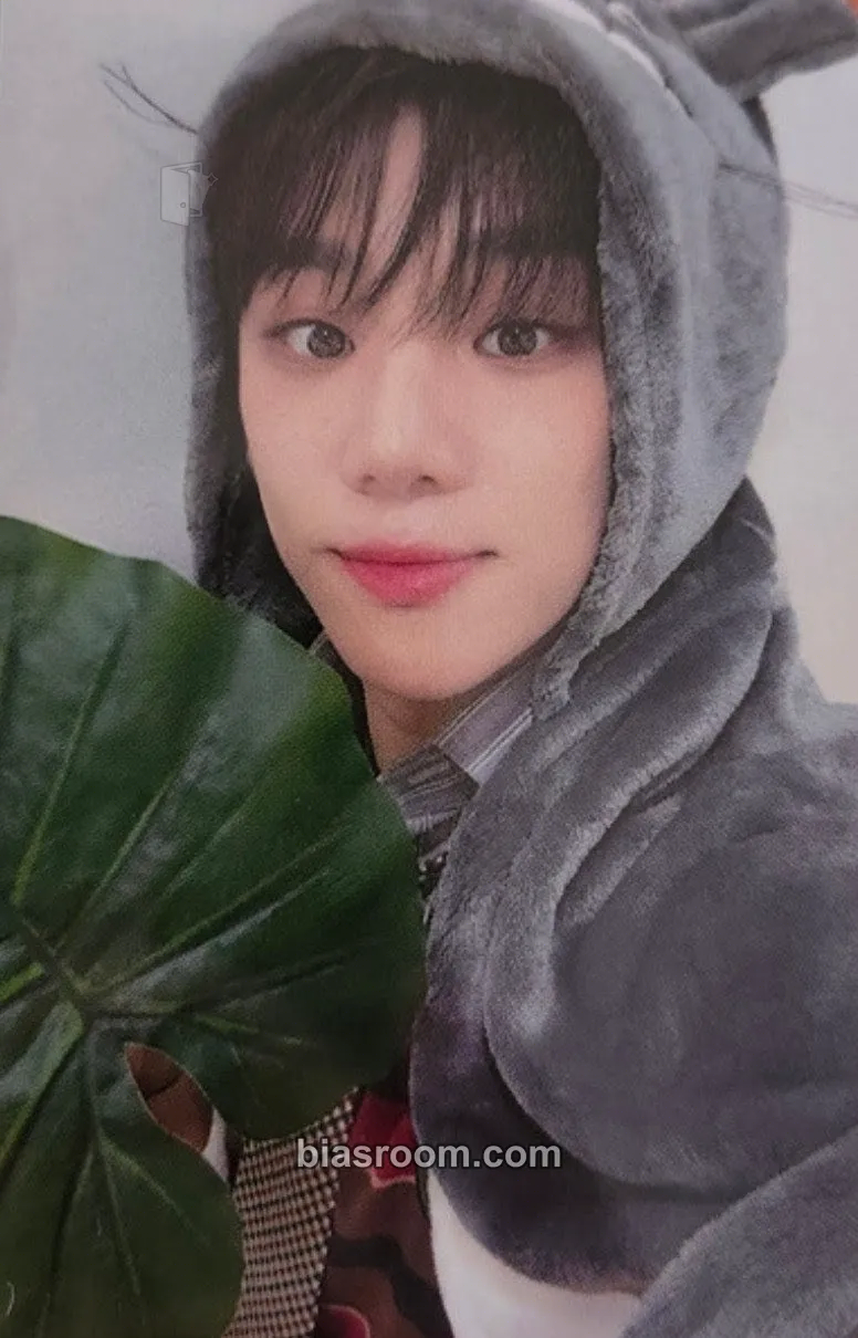 Kim Byeongkwan My Girl : ‘My Choice’ Photocard - A.C.E - A.C.E K-pop photocard