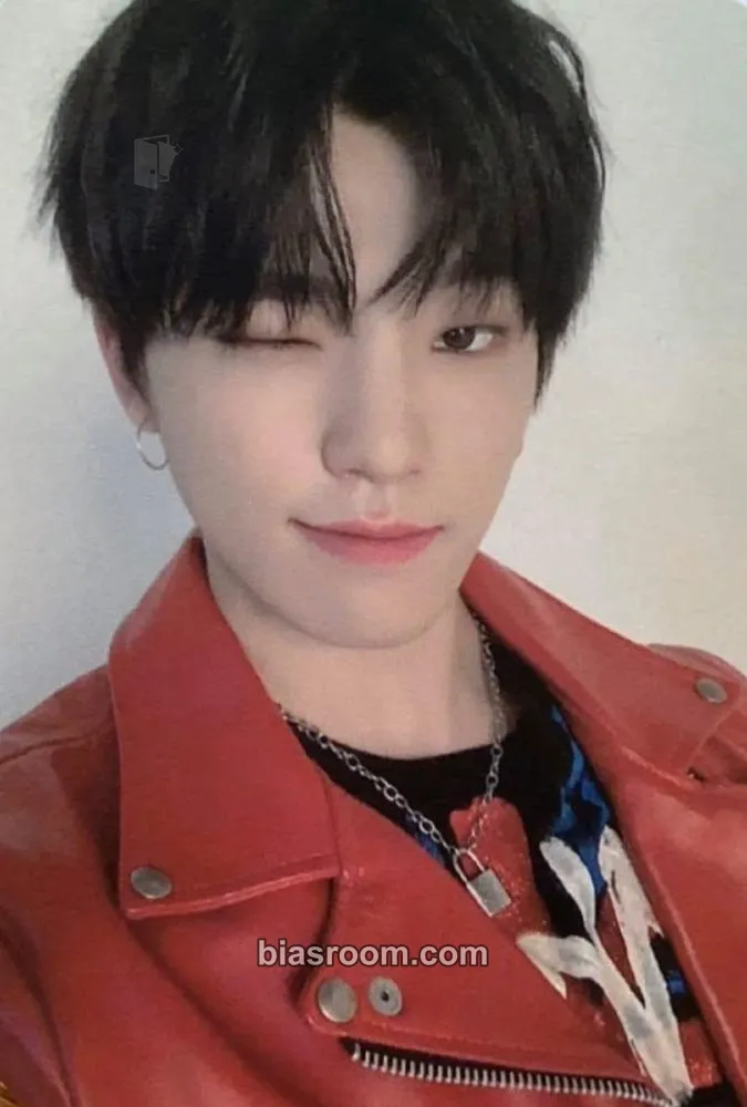 Dino 2020 Season's Greetings Photocard - SEVENTEEN - SEVENTEEN K-pop photocard