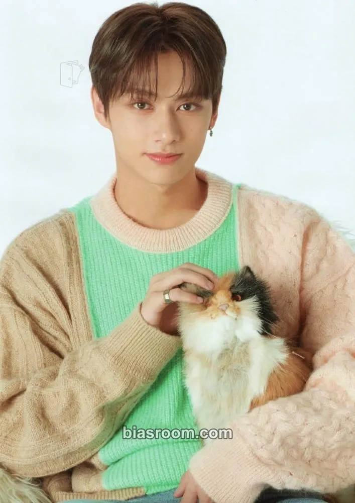 Jun 2020 Season's Greetings Photocard - SEVENTEEN - SEVENTEEN K-pop photocard