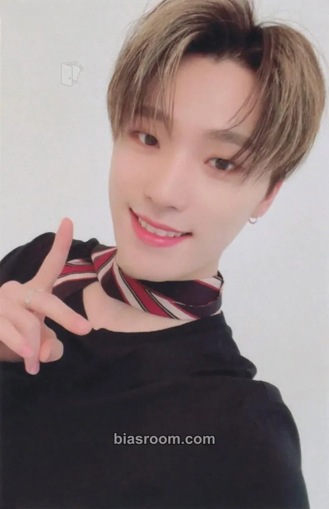 Dino 2021 Season's Greetings Photocard - SEVENTEEN - SEVENTEEN K-pop photocard