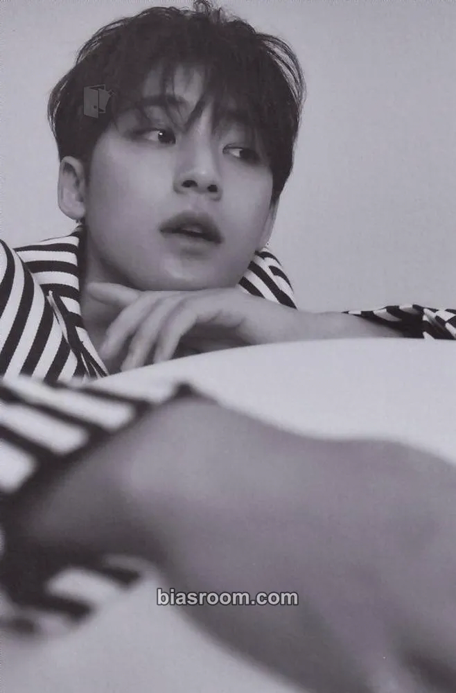 Mingyu 2021 Season's Greetings Photocard - SEVENTEEN - SEVENTEEN K-pop photocard