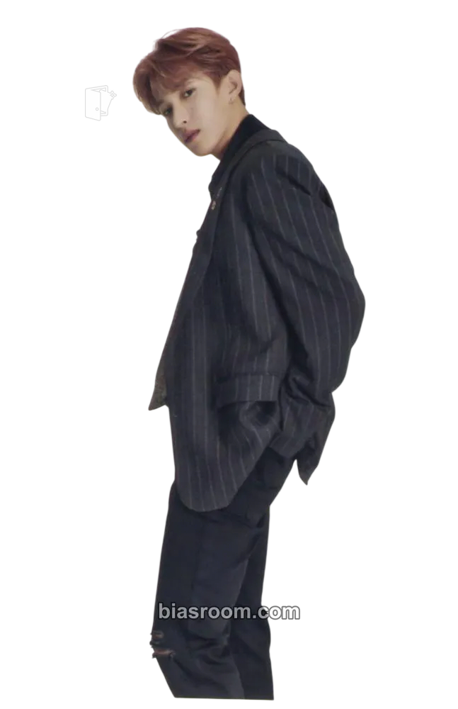 DK 2021 Season's Greetings Photocard - SEVENTEEN - SEVENTEEN K-pop photocard