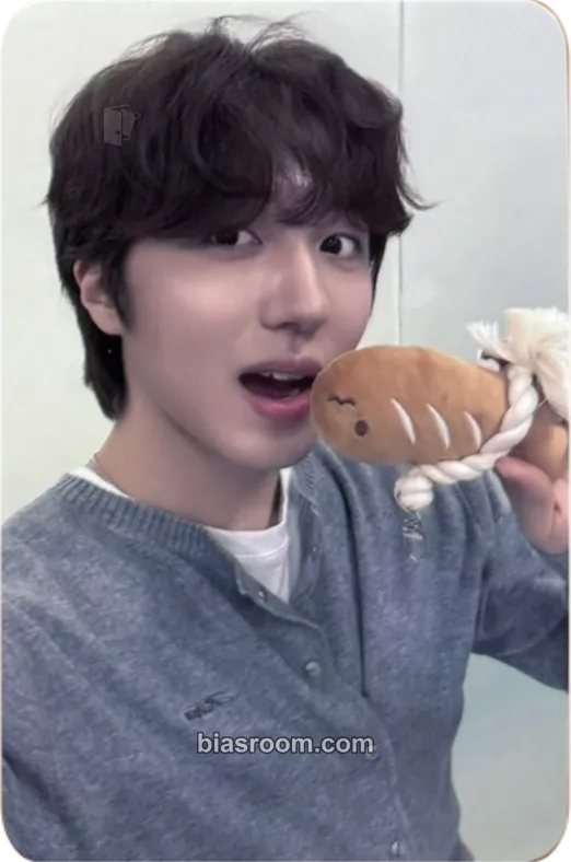 Chani About Love Photocard - SF9 - SF9 K-pop photocard