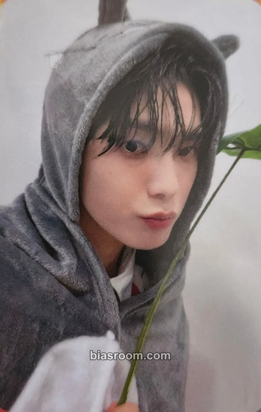 Park Junhee My Girl : ‘My Choice’ Photocard - A.C.E - A.C.E K-pop photocard