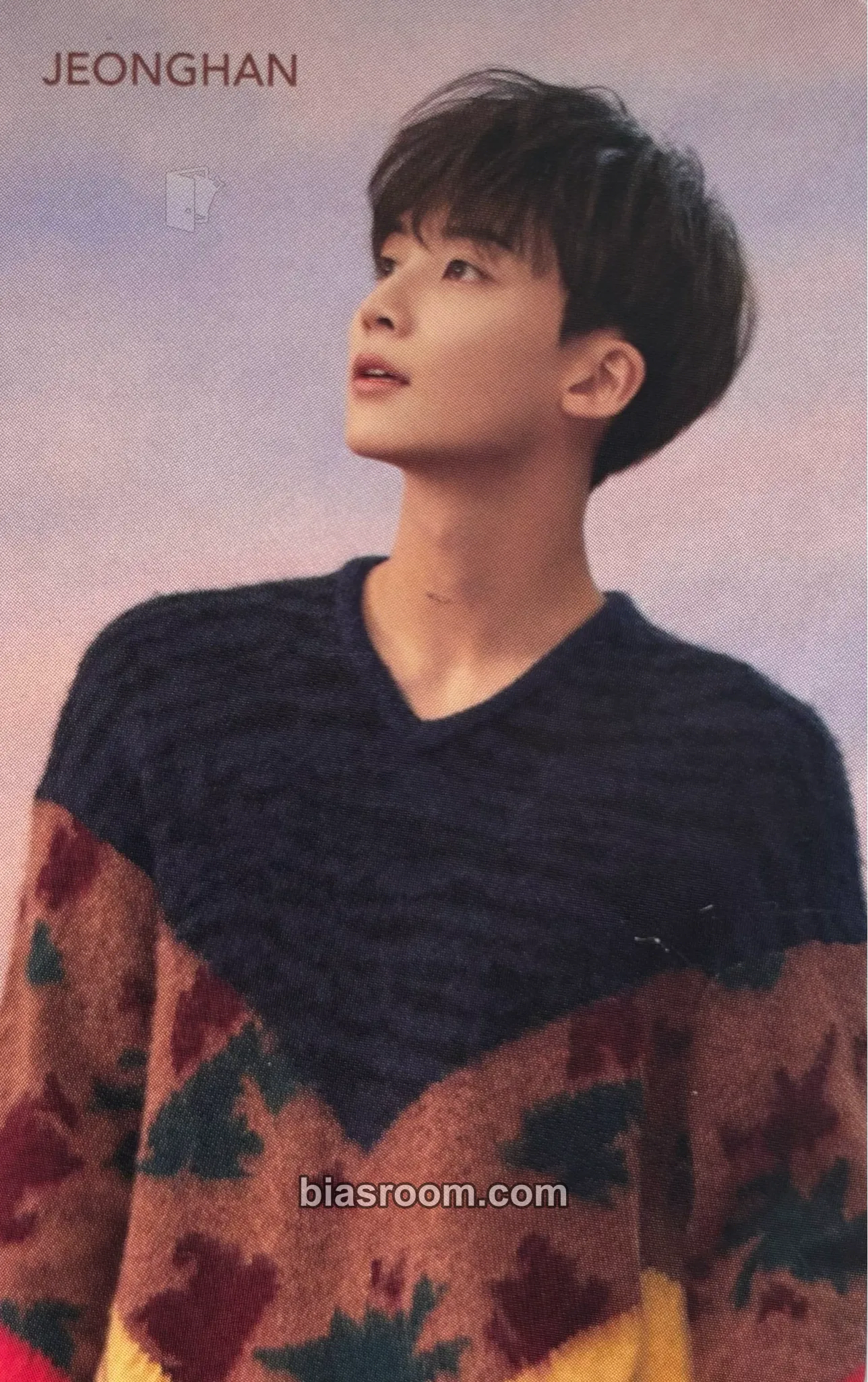 Jeonghan Fallin' Flower Photocard - SEVENTEEN - SEVENTEEN K-pop photocard