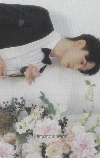 Vernon FML Photocard - SEVENTEEN - SEVENTEEN K-pop photocard