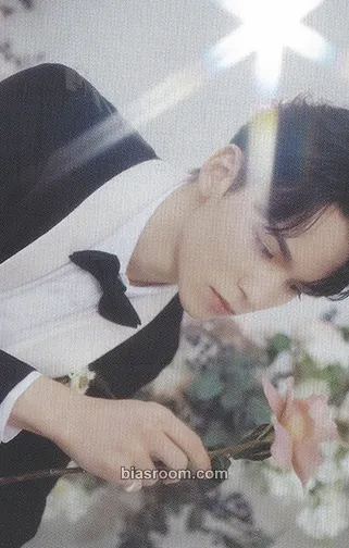 Vernon FML Photocard - SEVENTEEN - SEVENTEEN K-pop photocard