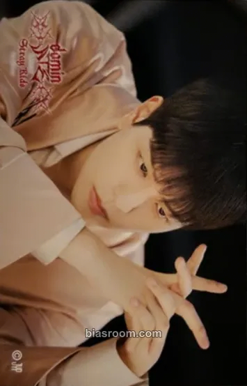 Seungmin DominATE World Tour Photocard - Stray Kids - Stray Kids K-pop photocard