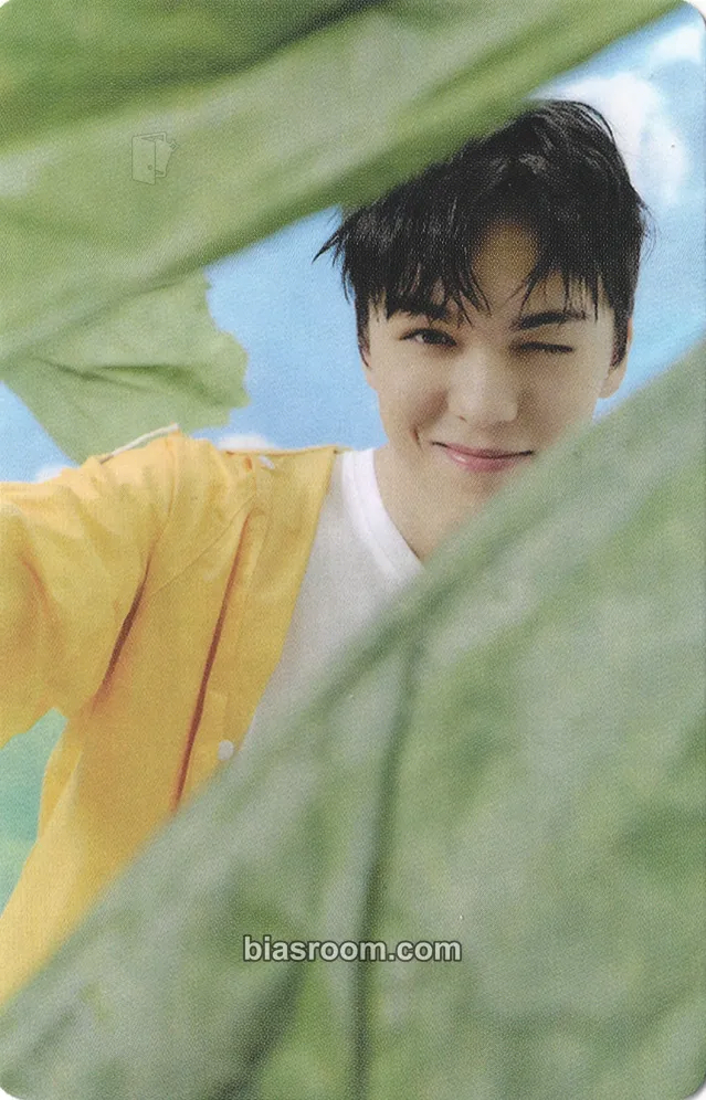 Vernon Seventeenth Heaven Photocard - SEVENTEEN - SEVENTEEN K-pop photocard
