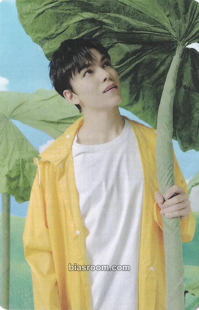 Vernon Seventeenth Heaven Photocard - SEVENTEEN - SEVENTEEN K-pop photocard