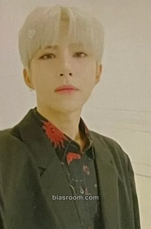 Wow A.C.E 2019 China Goods Photocard - A.C.E - A.C.E K-pop photocard
