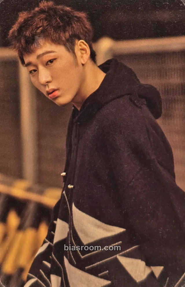 Block B - Zico - BLOCKBUSTER IN EUROPE Event mymusictaste (mmt) concert benefit