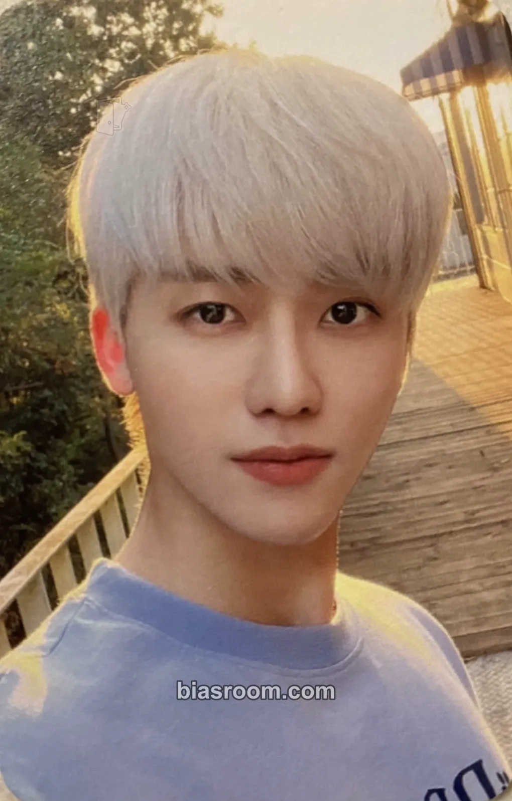 Jaemin NCT DREAM in Teddy Island Photocard - NCT DREAM - NCT DREAM K-pop photocard