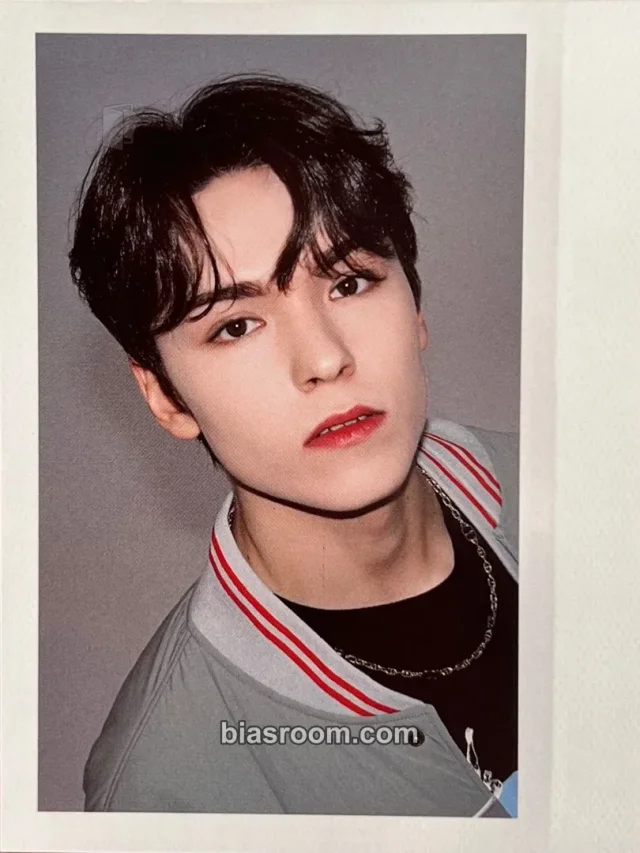 SEVENTEEN - Vernon - 2022 Season's Greetings Other polaroid set season's greetings