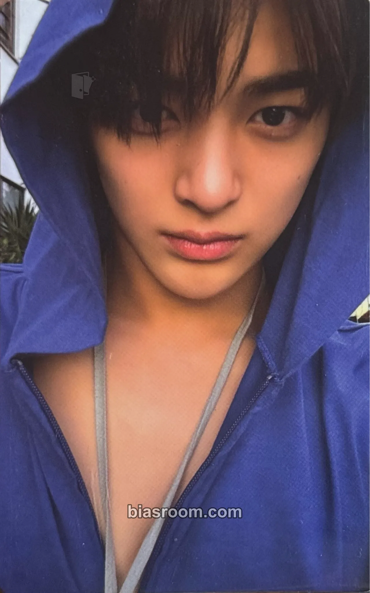 CORTIS Keonho CORTIS - Keonho - GREENGREEN Album weverse global shop (wvg) lucky draw (LD) round 1 listing photo 1