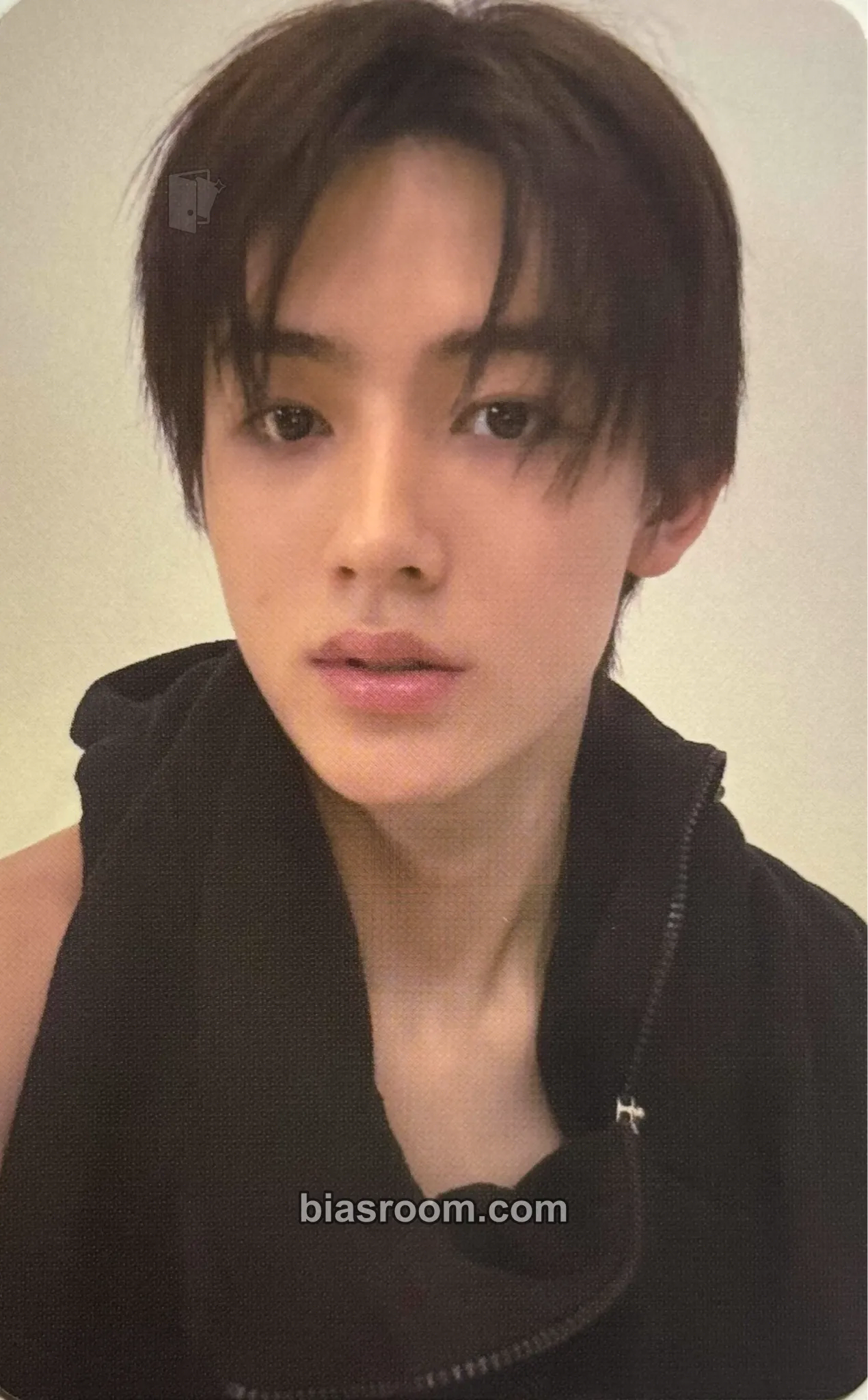 Seonghyeon GREENGREEN Photocard - CORTIS - CORTIS K-pop photocard