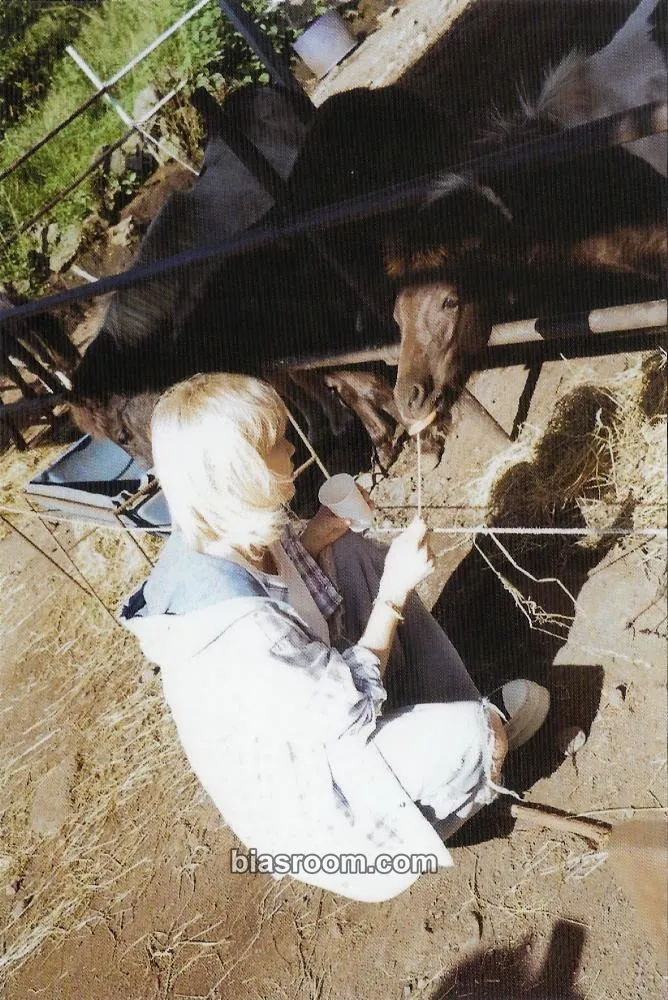 Jeonghan Jeonghan 'WANDERLUST' Photobook Photocard - SEVENTEEN - SEVENTEEN K-pop photocard