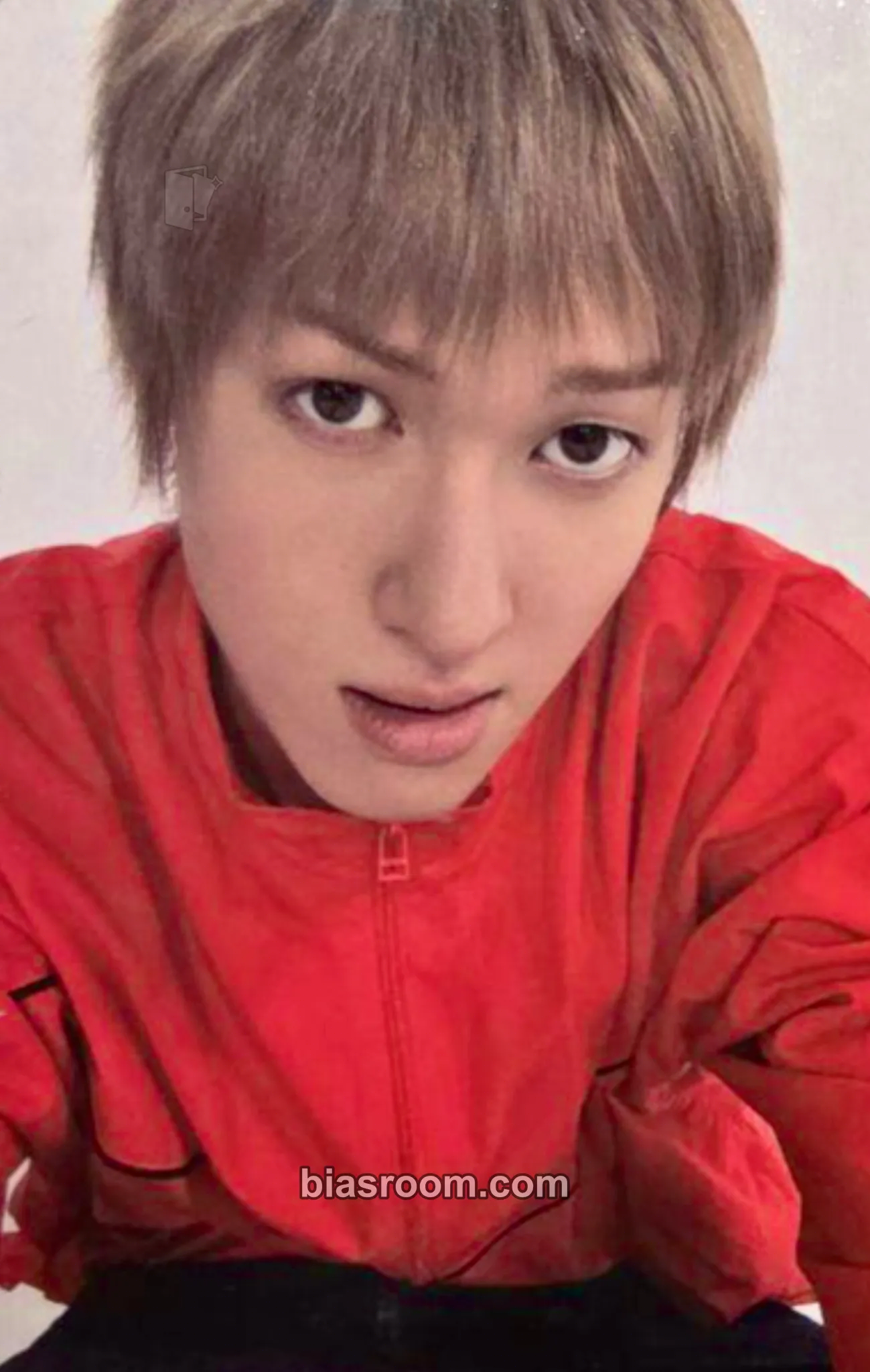 Martin GREENGREEN Photocard - CORTIS - CORTIS K-pop photocard