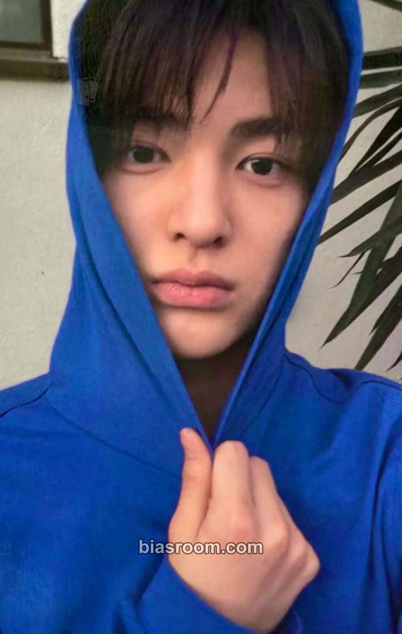 Keonho GREENGREEN Photocard - CORTIS - CORTIS K-pop photocard