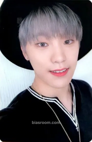 Dino An Ode Photocard - SEVENTEEN - SEVENTEEN K-pop photocard