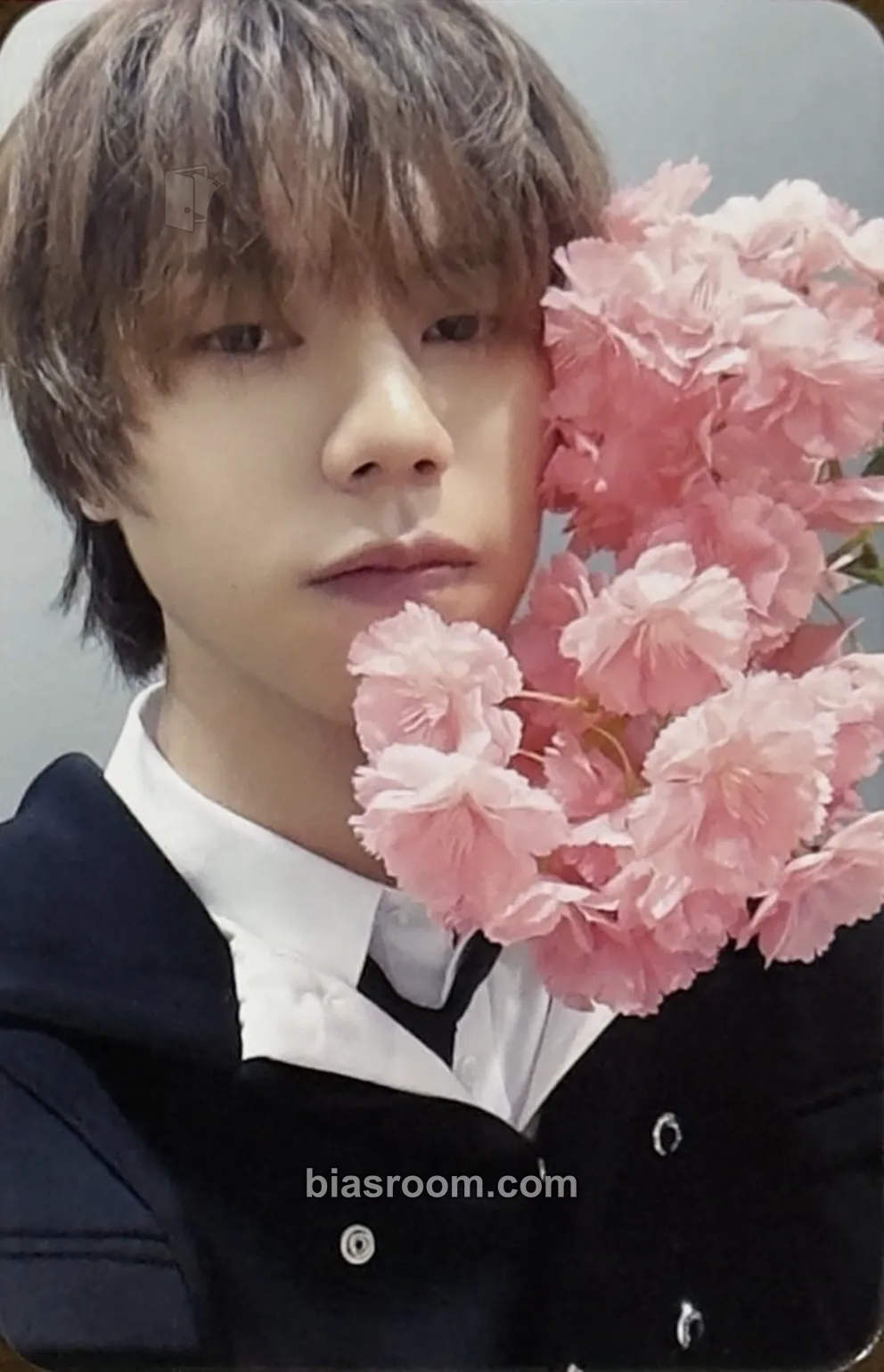 Shinnosuke 01 Photocard - V01D - V01D K-pop photocard