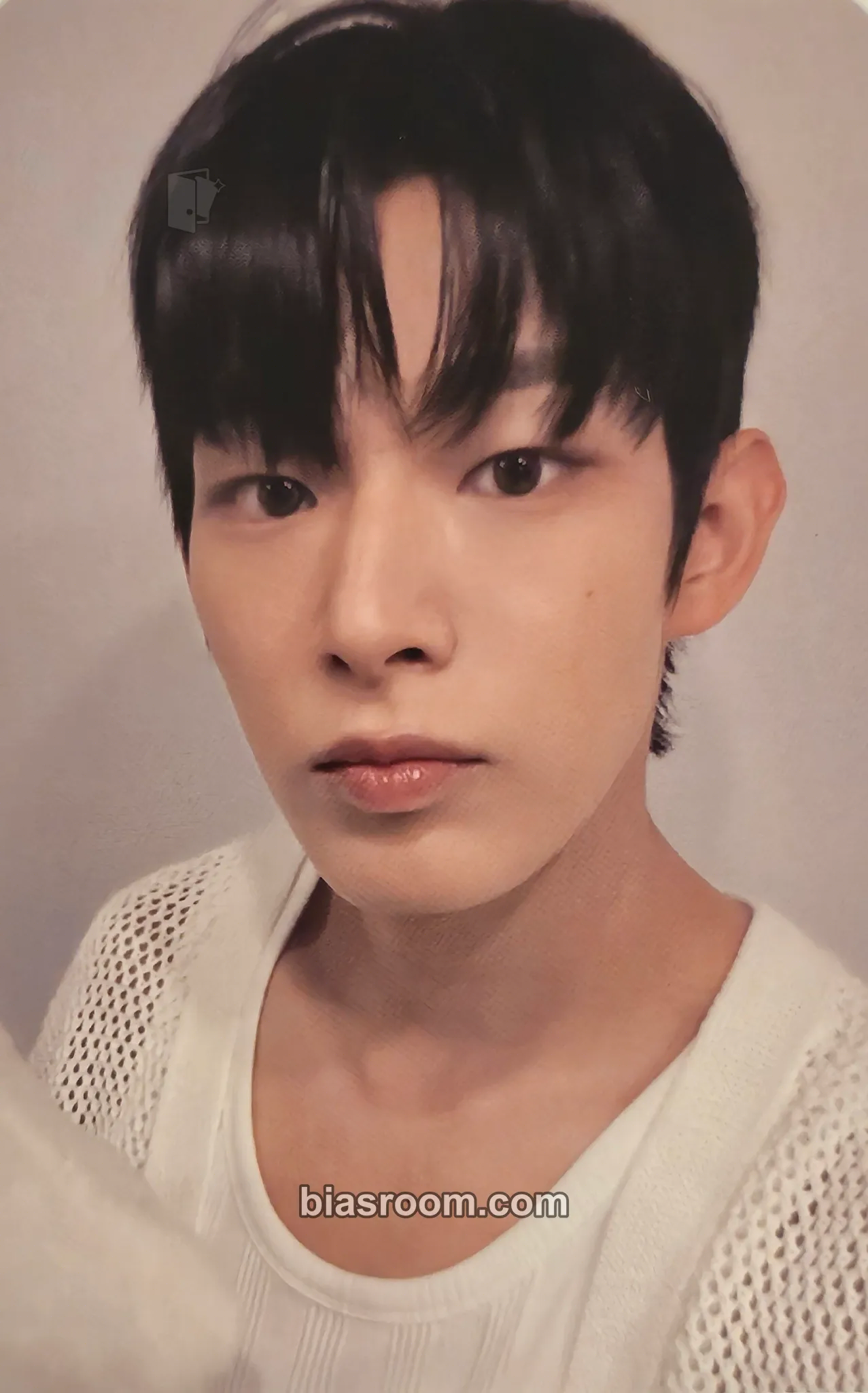 Steven WHO WE ARE Photocard - AHOF - AHOF K-pop photocard