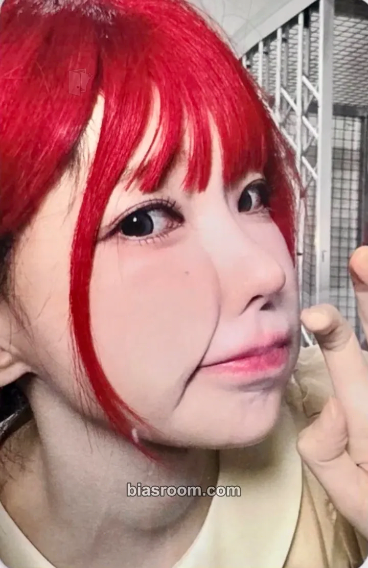 Magenta Algorithm's Blossom Photocard - QWER - QWER K-pop photocard