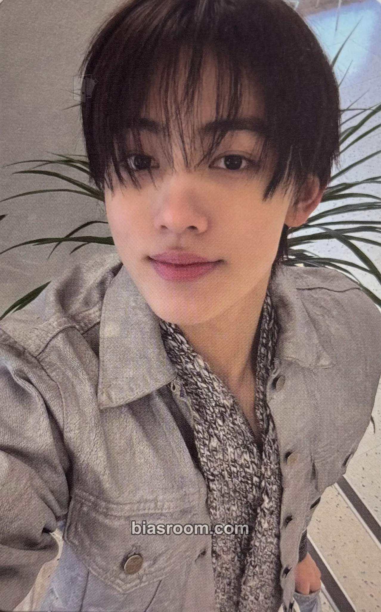 Seonghyeon GREENGREEN Photocard - CORTIS - CORTIS K-pop photocard