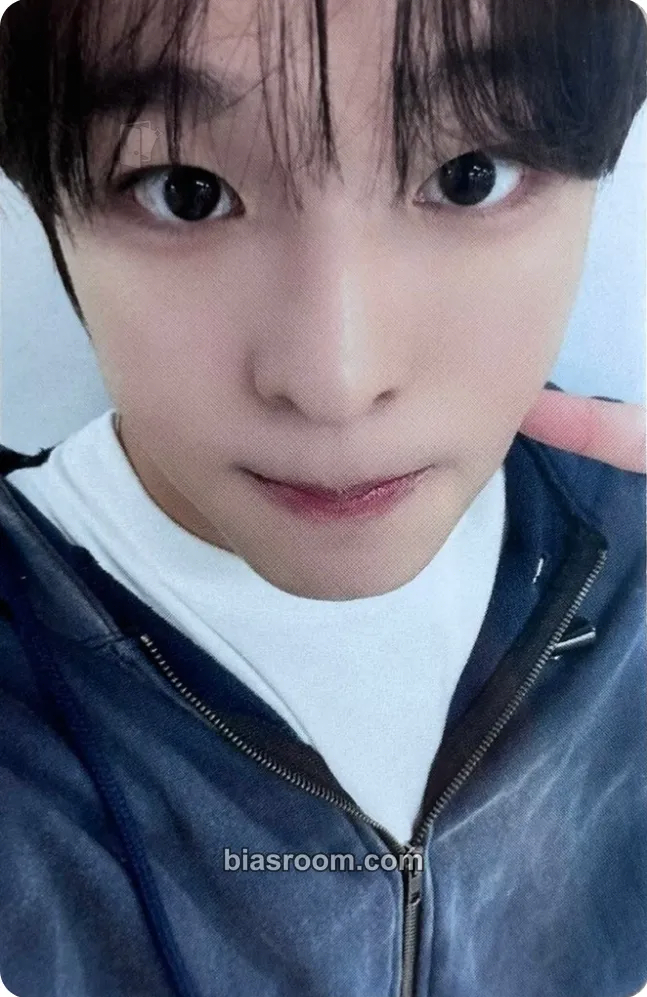 Riku Steady MD Photocard - NCT WISH - NCT WISH K-pop photocard