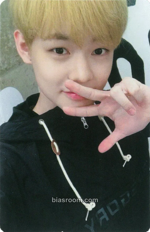 Chenle Spring FanParty NCT 2018 Photocard - NCT - NCT K-pop photocard