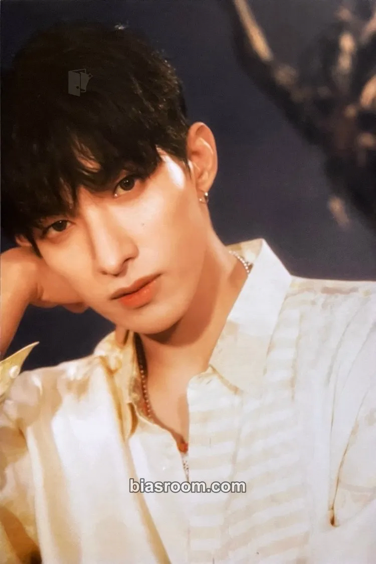 DK Face the Sun Photocard - SEVENTEEN - SEVENTEEN K-pop photocard