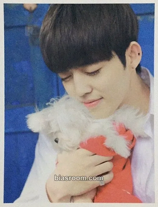 S.Coups LOVE&LETTER Photocard - SEVENTEEN - SEVENTEEN K-pop photocard