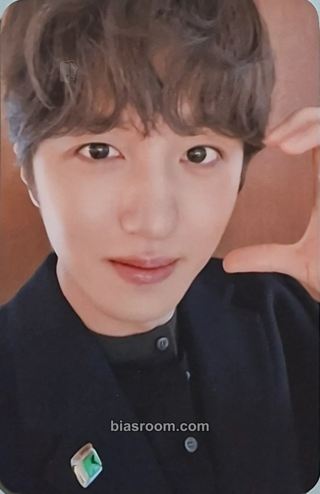 Chani About Love Photocard - SF9 - SF9 K-pop photocard