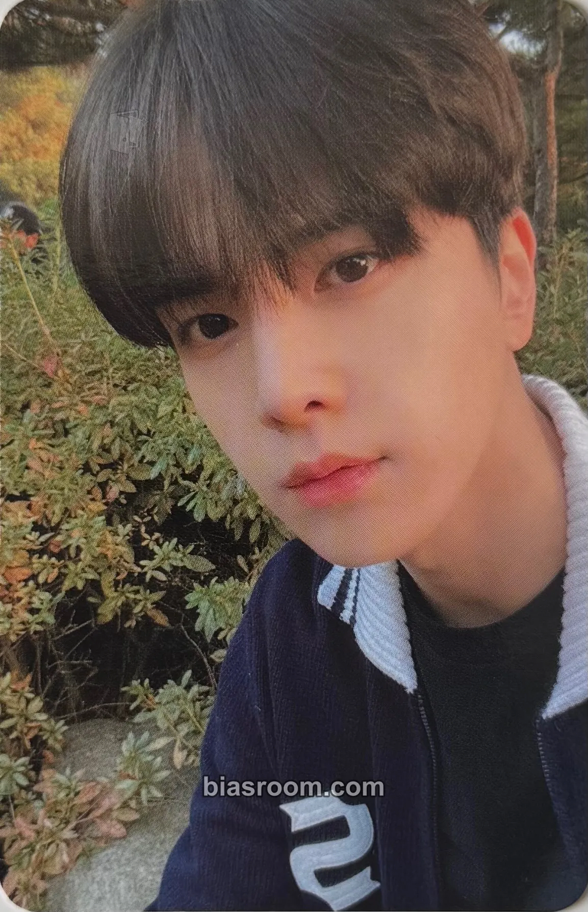 Younghoon THE AZIT: Pop-up store in Seoul Photocard - THE BOYZ - THE BOYZ K-pop photocard