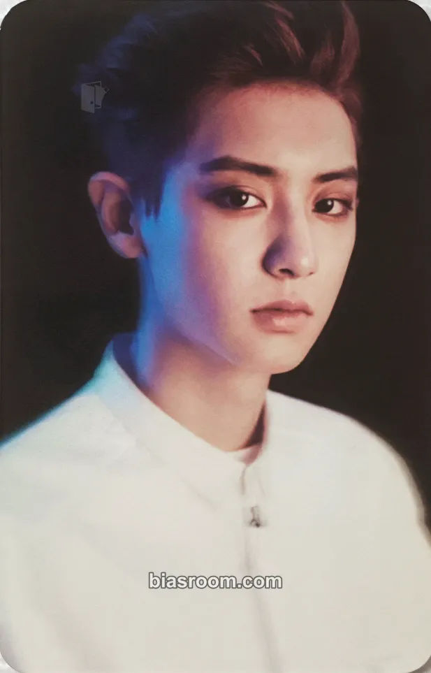 Chanyeol EXO's 10th Debut Anniversary MD Photocard - EXO - EXO K-pop photocard