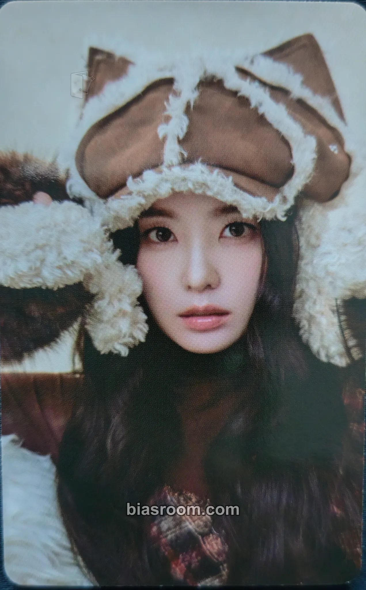 Irene 2026 Season's Greetings Photocard - Red Velvet - Red Velvet K-pop photocard