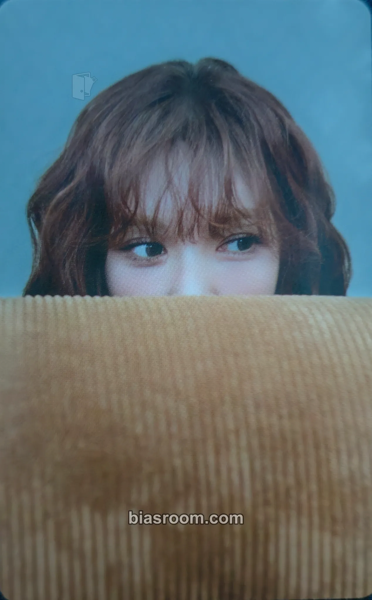 Wendy 2026 Season's Greetings Photocard - Red Velvet - Red Velvet K-pop photocard