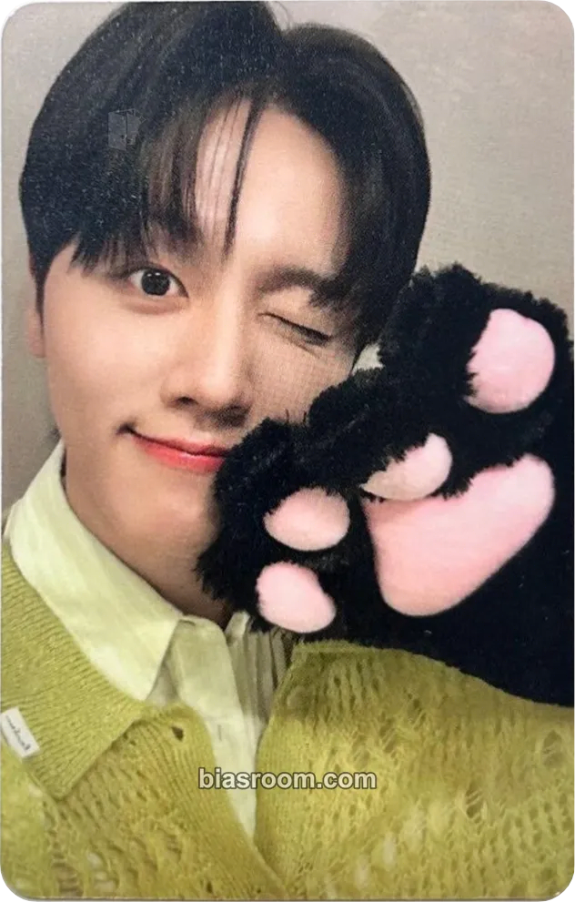 Youngbin About Love Photocard - SF9 - SF9 K-pop photocard