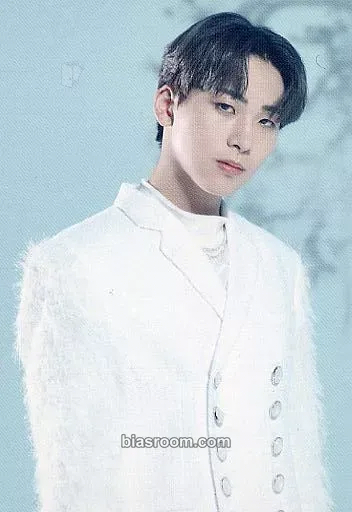 Ren Kawashiri WANDERING Photocard - JO1 - JO1 K-pop photocard