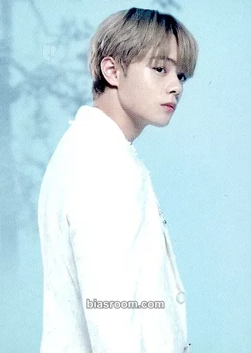 Shion Tsurubo WANDERING Photocard - JO1 - JO1 K-pop photocard