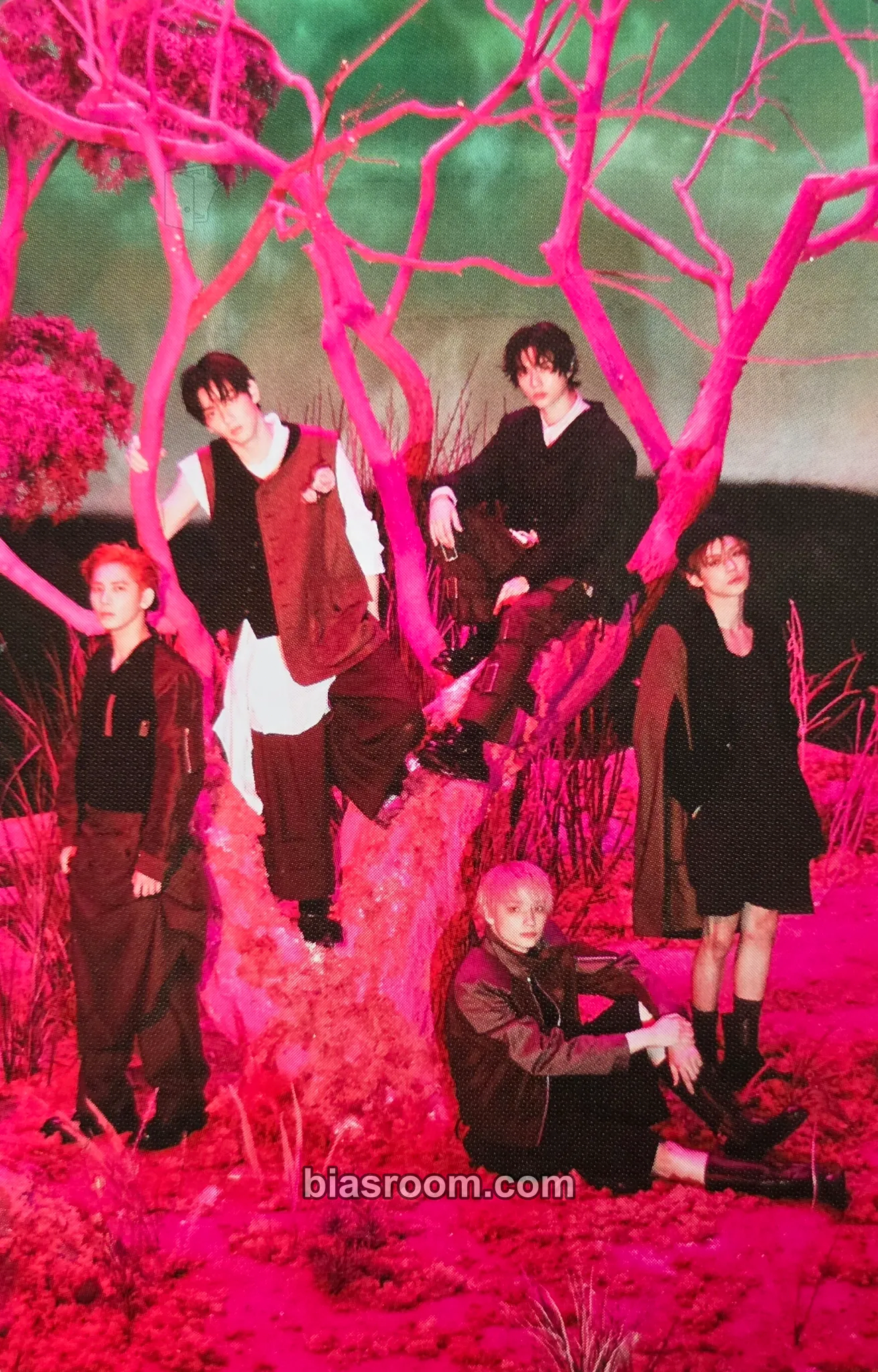 7TH YEAR: A Moment of Stillness in the Thorns Photocard - TOMORROW X TOGETHER - TOMORROW X TOGETHER K-pop photocard